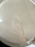 SHUANG YU甘蔗浆纸盘纸碗一次性餐具防水防油本色可降解圆盘10英寸20只装 实拍图