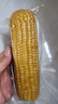 京鲜生 东北黄玉米净重3.6斤 8根*220g+ 真空包装加热即食 源头直发 实拍图