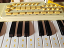 乐乐鱼（leleyu）37键电子琴儿童玩具乐器初学者早教带话筒小钢琴男女孩生日礼物 实拍图