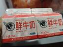 香满楼 屋仔盒装鲜牛奶组装 236ml*6盒 3.3g/100ml乳蛋白巴氏杀菌早餐奶 实拍图