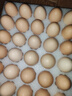 京鲜生柴鸡蛋30枚 3斤 无抗生素 谷物喂养鲜鸡蛋 源头直发 实拍图