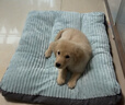 华元宠具狗窝垫子四季通用大型犬冬季保暖狗狗床宠物沙发可拆洗睡垫猫咪窝 实拍图