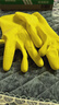 3M橡胶手套 1双装大号薄巧型防水防滑家务清洁手套 厨房洗衣 柠檬黄 实拍图