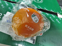 农夫山泉 农夫鲜果 净重10斤装 生鲜水果橙子年货礼盒源头直发包邮 实拍图