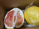 京鲜生 福建红心柚子 2粒 单果1.5-2斤小果 生鲜水果 实拍图