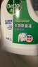 滴露（Dettol）衣物除菌液松木3L 内衣袜子衣物长效杀菌除螨 衣服消毒液儿童可用 实拍图
