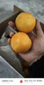 京鲜生 广西皇帝柑/贡柑 净重9斤 单果100g起 生鲜水果年货礼盒 实拍图