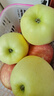 甜醉了 烟台苹果黄元帅粉面苹果黄金帅黄香蕉山东新鲜水果当季整箱鲜果 净重8.5斤75mm 实拍图