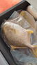 翔泰海南深海金鲳鱼700g 2条 火锅 年货节生鲜鱼类 BAP认证 海鲜水产  实拍图