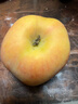 佳农 新疆阿克苏冰糖心苹果8斤 单果200-250g 25年新果 水果礼盒  实拍图