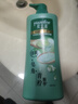 夏士莲控油去屑洗发水750g 男士女士洗发露 针对油头及头屑问题 实拍图