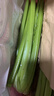 京鲜生山东榨汁大西芹新鲜蔬菜净重9斤源头直发包邮 实拍图