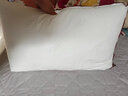 水星家纺枕头枕芯酒店枕头护颈枕头芯家用一对纯棉抗菌可水洗中枕48x74cm 实拍图
