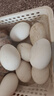 百世富泽（BAISHIFUZE）【百世富泽】黄河滩大鹅蛋新鲜正宗土鹅蛋农家自养孕妇超大鹅蛋 12枚130-150克 实拍图