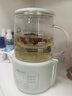 小熊（Bear）迷你养生壶养生杯 电炖杯电热杯恒温花茶壶烧水壶办公室杯子0.4L全玻璃杯体YSH-F04E1  实拍图