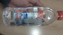 巴馬百年天然弱碱性矿泉水巴马水长寿乡GB8537标准饮用水520ml*12瓶整箱 实拍图