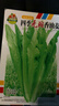 【京东物流】蔬菜种子四季播盆栽阳台庭院香菜生菜菠菜简单秋易种 油麦菜种子1包约1000粒 实拍图