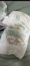 帮宝适超薄透气清新帮纸尿裤新生儿婴儿尿不湿尿片透氧Pro M54 实拍图