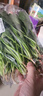 大菠菜300g 实拍图