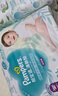 帮宝适超薄透气清新帮拉拉裤新生儿婴儿尿不湿尿片透氧Pro XL62 实拍图