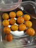田良季广西金桔融安脆皮桔蜜新鲜滑皮水果生鲜小橘子送礼品礼物盒年货节 净重9斤装【蕞划算】 精品果丨28-32枚/斤左右丨很甜 实拍图