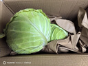 京鲜生山东新鲜绿甘蓝净重3斤单果200g+卷心菜甘蓝新鲜蔬菜 源头直发 实拍图