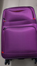 竹貂行李箱耐磨牛津布28英寸大容量男拉杆箱女万向轮旅行箱密码箱皮箱 紫色-耐磨牛津布 24英寸 【黄金尺寸，店长推荐】 实拍图