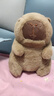 卡皮巴拉毛绒玩具公仔儿童生日礼物女孩情人节礼物水豚毛绒玩偶 卡皮巴拉公仔 1个装（新人专享） 实拍图