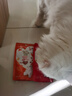 珍致猫咪零食磨牙洁齿成猫幼猫饼干60g鸡牛肉三文鱼喵脆之吻系列 【试用】喵脆随机口味60g*2 实拍图