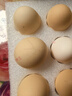 京鲜生 无抗保洁鲜鸡蛋30枚/盒 健康轻食 礼盒送礼 1.5kg/盒 源头直发 实拍图