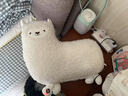 OlarHike羊驼按摩抱枕玩偶公仔老婆女友闺蜜女生生日礼物女士实用高级小众 实拍图