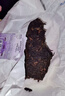 大益 TAETEA茶叶普洱茶熟茶 7年陈烟霞熟茶品鉴装7g/袋 实拍图