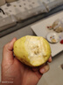 京觅福建奶油芭乐 单果150g起  净重3斤装番石榴 水果  源头直发包邮 实拍图