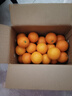 天乐优选麻阳冰糖橙新鲜橙子水果当季整箱果冻甜橙手剥橙子爆汁应季时令 净重4.5斤单果60mm以下 实拍图