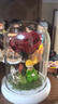 RoseBox生日礼物女小王子玫瑰花情人节结婚纪念日永生花送女友高级感实用 实拍图