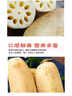 京鲜生天津莲藕脆藕 净重4.8斤荷塘月色脆嫩新鲜蔬菜源头直发 实拍图