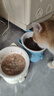 憨憨乐园猫碗陶瓷猫粮双碗斜口狗碗狗盆狗粮宠物幼猫咪吃饭食盆喝水喂食 实拍图
