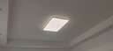 雷士（NVC）普瑞护眼照明灯客厅吸顶灯卧室灯led灯具小白灯-白雪S 包安装 C款-【全光谱智控】160W白雪两室一厅 实拍图
