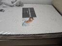 香港海马床垫席梦思天然乳胶椰棕独立弹簧五星级十大酒店加厚品牌 厚15cm双面款:乳胶+独袋弹簧+椰棕 1500*2000 实拍图
