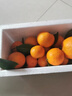 【产地直发】正宗广西金秋砂糖橘棉橘水果新鲜当地砂糖橘橘子新鲜 砂糖橘带箱2斤 实拍图