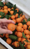 京地达广东砂糖橘新鲜水果净重9斤中大果35-45mm源头直发包邮 实拍图