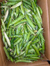 新鲜豌豆四川带壳青豆角水果甜豆荚农家蔬菜 新鲜青豌豆荚净重9斤 实拍图