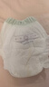 babycare金山茶花拉拉裤XXL30片(>15kg)婴儿尿不湿超薄透气新生柔花苞裤 实拍图