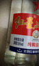 红星二锅头 大二 白瓶精制 清香型白酒  56度 500ml 单瓶 纯粮口粮酒 实拍图