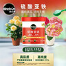 美乐棵硫酸亚铁花肥水溶肥调酸预防植物叶黄通用肥料350g 实拍图