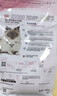皇家猫粮幼猫奶糕  BK34 通用粮 1-4月 400g 实拍图