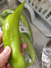 尖椒约300g 实拍图