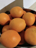 京觅秭归脐橙纽荷尔橙子净重9斤精品果200g+新鲜水果礼盒源头直发包邮 实拍图