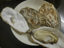 贝司令 鲜活乳山生态生蚝3XL 净重9斤 23-32只 生鲜源头直发年货送礼 实拍图