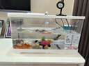 阔庭（KUOTING）鱼缸懒人鱼缸家用客厅办公室金鱼缸过滤鱼缸白色款 实拍图